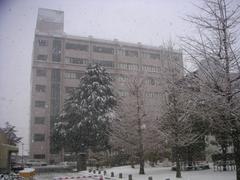 20050305_2.jpg