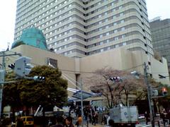 20050405_1.JPG
